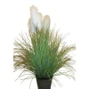 Herbe de Pampa pot zinc 170 cm