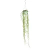 Hot Hoya Linearis suspension Ø14xH50 cm