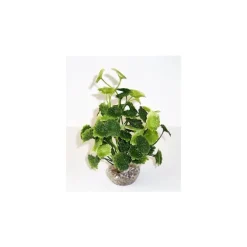 LABEO Hydrocolite vert en plastique 19 cm
