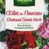 Best VILMORIN Œillets des fleuristes Chabaud Géant Varié - graines à semer