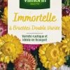 Sale VILMORIN Immortelle à Bractées Double Variée - graines à semer