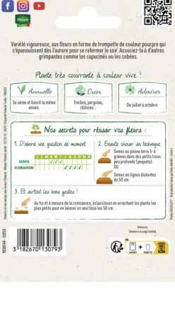 Clearance VILMORIN Ipomée Volubilis Pourpre - graines à semer