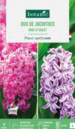 Best BOTANIC® Jacinthe en duo - 4 bulbes