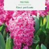 Clearance BOTANIC® Jacinthe pink pearl - 5 bulbes