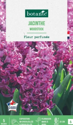 Clearance BOTANIC® Jacinthe woodstock - 5 bulbes