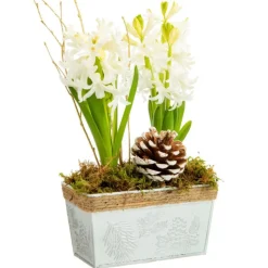 Clearance BOTANIC® Jardinette de 2 jacinthes en zinc blanc