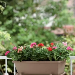 Best ELHO Jardinière 40cm Barcelona taupe