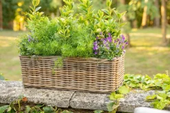 Sale EDELMAN Jardinière panier rectangulaire en osier gris Marcia grand modèle - 58 x 26 x 20 cm