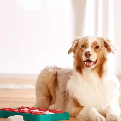 Best NINA OTTOSSON Jeu d'intelligence pour chien coloris multicolore Treat Brick niveau 2