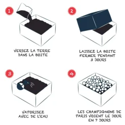 Online RADIS ET CAPUCINE Kit de culture pour champignons blancs de paris bio 25x20x15 cm