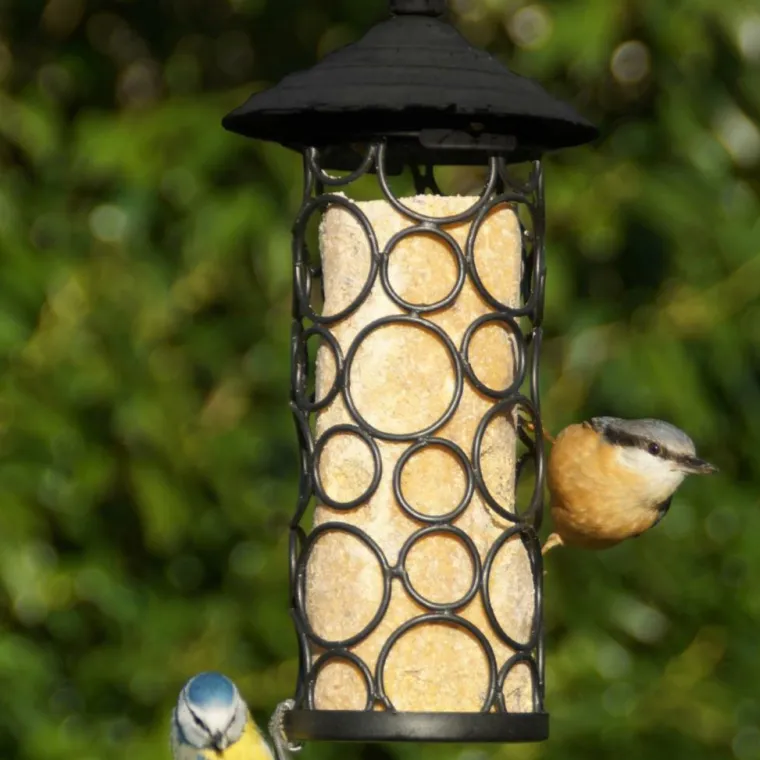 Sale NATURES MARKET Kit de mangeoire pétillante noir en métal et cylindre Ø 12 x 25,5 cm