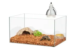 New TERRATLANTIS Kit pour bébé tortue terrestre coloris transparent - 65 x 45 x 35 cm
