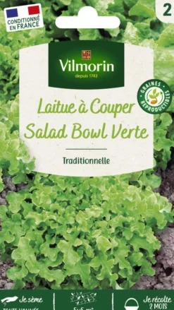 Outlet VILMORIN Laitue à couper Salad Bowl Verte - graines à semer