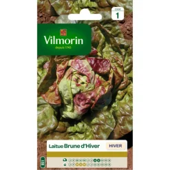 Online VILMORIN Laitue Brune d'Hiver - graines à semer