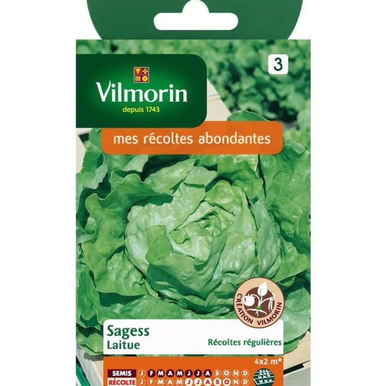 Outlet VILMORIN Laitue Sagess - graines à semer
