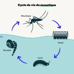 Outlet BLEEN Larvicides anti-moustiques efficace en 48h - 400m²