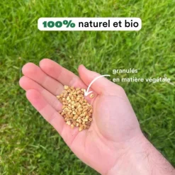 Sale BLEEN Larvicides anti-moustiques efficace en 48h - 80m²