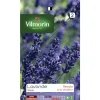 Online VILMORIN Lavande - graines à semer