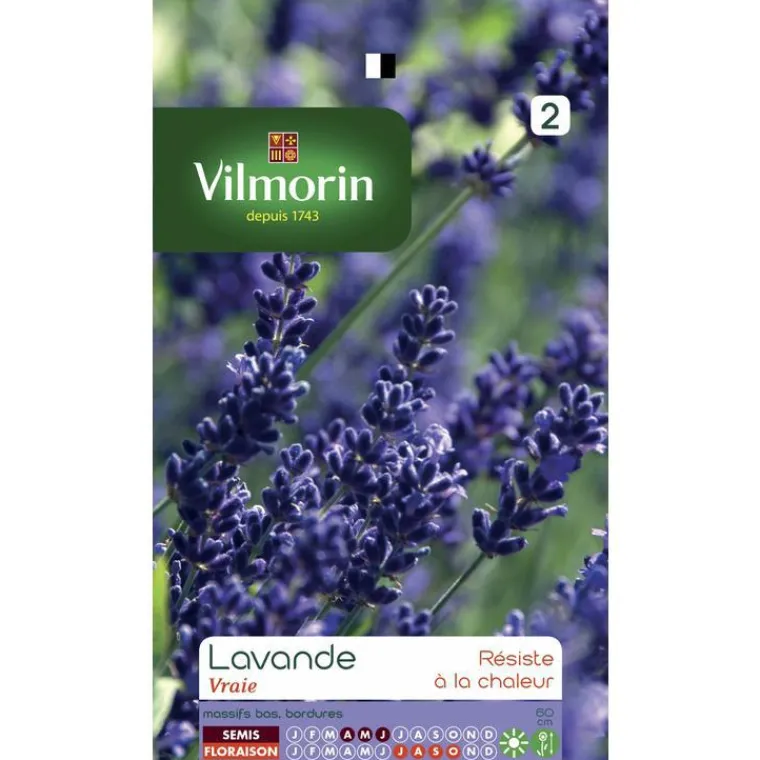 Online VILMORIN Lavande - graines à semer