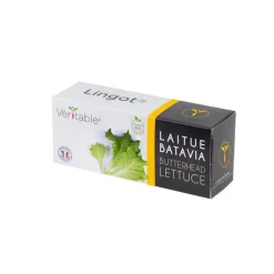 Clearance VÉRITABLE Lingot Laitue Batavia Bio
