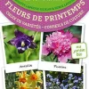 Clearance ÉDITIONS TERRE VIVANTE Livre "Les antisèches : fleurs de Printemps"