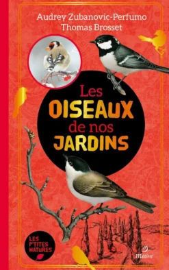 Sale ÉDITIONS METIVE Livre "Les oiseaux de nos jardins"