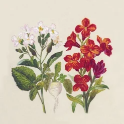 Clearance PAPER DESIGN Lot de 25 serviettes 2 plis Botanical coloris multicolore en papier recyclé - 25 x 25 cm