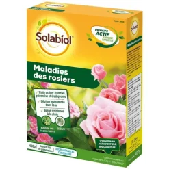 Online SOLABIOL Maladies des rosiers