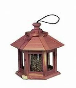 Outlet Mangeoire Gazebo junior