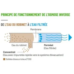 Clearance BLUE CORAL Membrane osmoseur résistante, 125 GPD - AQUAPRO - 473L/J