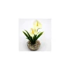 Outlet LABEO Mini massif de fleurs blanches en plastique 10 cm