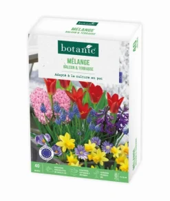 Clearance BOTANIC® Mélange balcon et terrasse - 40 bulbes