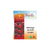 Online BIOREGARD Mélange de fruits rouges surgelés biologiques Bioreg en sachet - 300 g