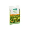 Sale BOTANIC® Mélange de graines Estival - graines à semer (5 m²)