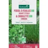 Clearance BOTANIC® Mélange de graines persil à feuille gigante italia bio et de ciboulette commune bio - graines à semer