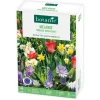 Best BOTANIC® Mélange terrasse biodiversité - 40 bulbes