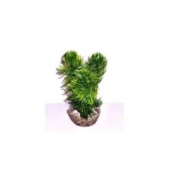 Discount LABEO Mousse verte en plastique petit modèle 13 cm