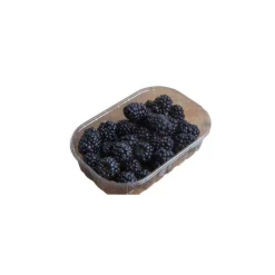 Sale Mûres bio de France - Barquette de 125 g