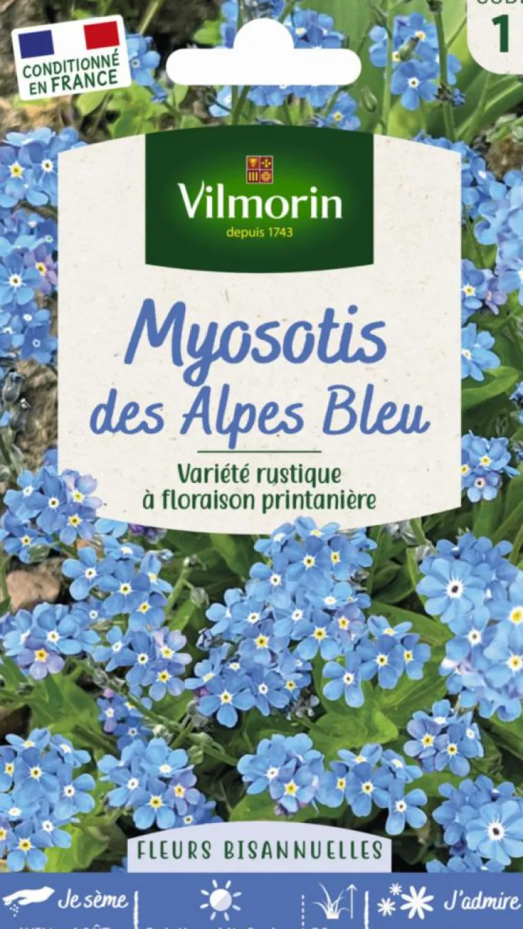 Best VILMORIN Myosotis des Alpes bleu - graines à semer