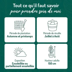 Clearance BOTANIC® Myrtille Pink Lemonade® Bio. Le pot de 2 litres