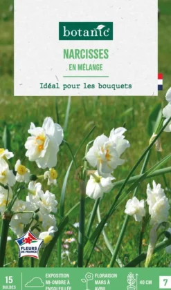 New BOTANIC® Narcisse en mélange - 15 bulbes