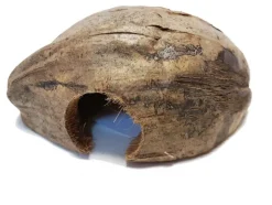 Discount REPTILE PLANET Noix de coco pour terrarium coloris marron Coco Casa