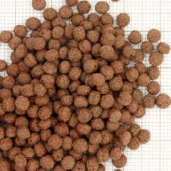 JBL Nourriture d'été pour koïs de petite taille Propond Summer - 1 kg