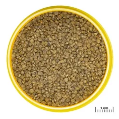 Clearance BLUE CORAL Nourriture pour gourami, granulés ProNovo, JBL - 115g, 250ml