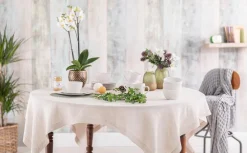 Best BOTANIC® Orchidée Phalaenopsis 50cm avec cache pot céramique Ø 12 cm