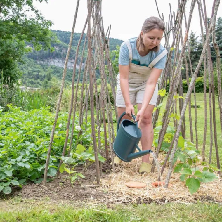 Online OYAS à enterrer Beige – Taille L