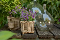 Clearance EDELMAN Panier carré en osier gris Marcia - 18 x 18 x 14 cm