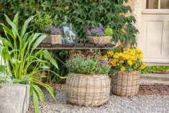 Hot EDELMAN Panier rond en osier gris Marcia - Ø 38 x H 33 cm