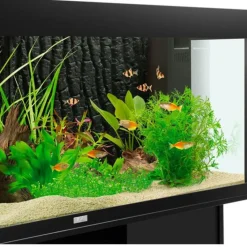 Hot BLUE CORAL Paroi arrière d'aquarium effet pierre, JUWEL, modèle STR - 595x500 mm