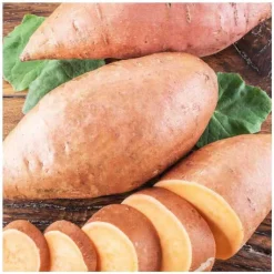 BOTANIC® Patate Douce Bonita Bio. Le pot de 1 litre